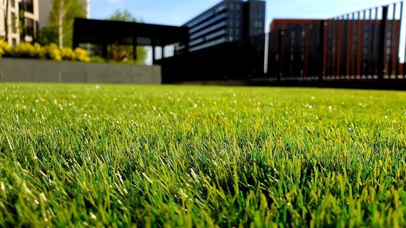 Lawn Care Pro